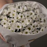 Круглый букет из белый хризантем